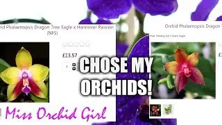 Orchid shopping with me - You chose what Orchids I buy!