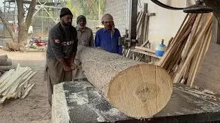 Sawmill Madness 😳 Turning Huge Logs Into Perfect Planks