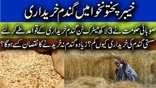 KP Wheat Procurement to start 7 May || SoPs defined || Muhammad Faheem