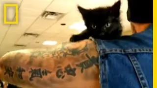 Rescue Ink Unleashed on Nat Geo | National Geographic