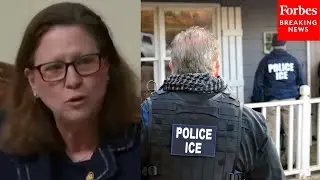 'We Have Bad ICE Agents': Julie Johnson Shreds ICE Agents 'Acting With A Lack Of Probable Cause'