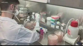 What is monoclonal antibody therapy and how does it work?