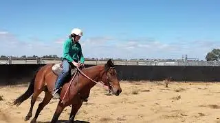 Lot 606 - Charltons Bonanza