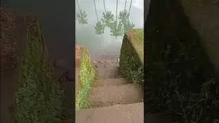 A pond vibe