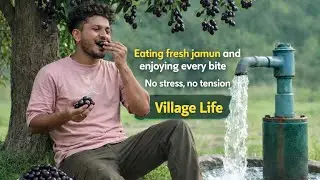 Eating Fresh Jamun And Enjoying Every Bite || Village life Vlogs #9 