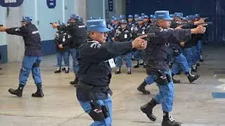 Escal&oacute;n 141