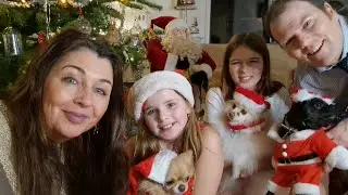 JULEAFTEN✨️HUNDENES NISSETØJ🎅😃ÅBNER JULEGAVER🎁🥰