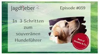 P059: Best of Dummy & Co - In 3 Schritten zum souver&auml;nen Hundef&uuml;hrer