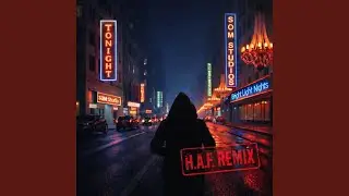 Bright Night Lights (H.A.F. Remix B Side)
