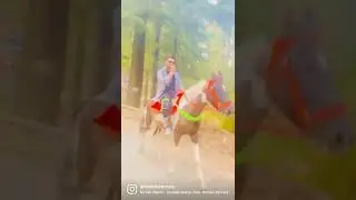 #shonkibande #shonkijatt #horseriding #horselover #miniswitzerland #GEORGOPOOL WALE🤟🏻🤟🏻🤟🏻