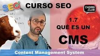 What is a CMS? ☝️ Content Management System - SEO Course 1.7 - WordPress is one, learn how it works
