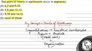 Two pairs of hearts in earthworm occur in segments: (A) 6,7 and 9,10 (B) 7,9 and 12,13 (C) 9,10 ...
