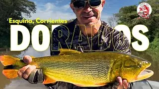 Volvimos por la revancha de los dorados en Esquina, Corrientes 😱🔥
