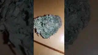 Sfv DESTROYER MARIJUANA STRAIN 🔥🔥🔥🔥
