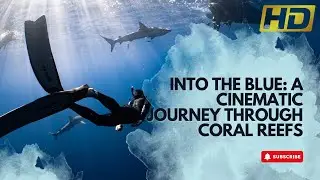 Into the Blue: A Cinematic Journey Through Coral Reefs