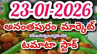 Anantapur tomato market rates/today tomato market rates #Anantapur #agriculture #tomato rate #tomato