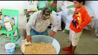 La inoculacion de semilla con micorrizas en el Semidesierto Lagunero Durango