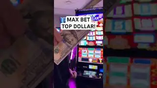 Максимальная ставка на Double Top Dollar! #слоты #ласвегас #казино