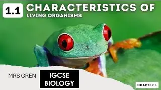 MRS GREN in 5 minutes IGCSE Biology Exam Tips