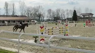 CONCORSO HORSE BRIDGE NONE (TO) - SALTO OSTACOLI LB80 02.03.2025 CAROLA & NILLOS