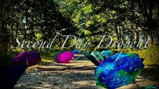 Second Day Dropout - Chapter Seventeen: Inside The Archive 