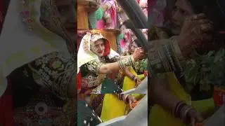 Shekhawati culture 💖#shekhawati #rajasthani #song #jaatni #dress #culture #shortvideo