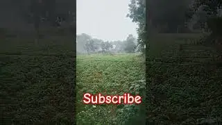 Khora hi hai