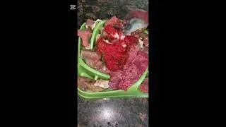 Dog food recipe #dogrecipes #doghealth #petnutrition #dognutrition #rawfeddogs
