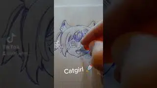 Catgirl Coin Pump to the moon!? 🚀 #catgirl #nft