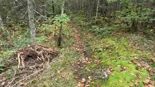 Steep to Eugene portage BWCAW