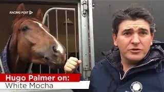 Hugo Palmer Stable Tour