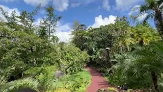Antonio Borges Garden