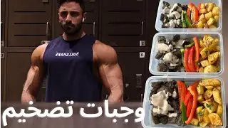 تجهيز وجبات اساسية رجعنا للتضخيم 💪