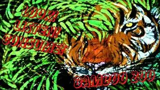 Bamboo Zoo - Ghost Party (Peel Session)