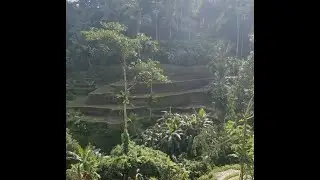 Ubud, Bali 2023