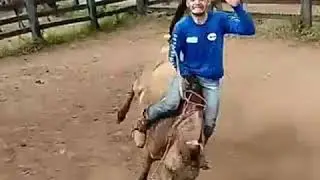 Pferd beisst Reiter lustig