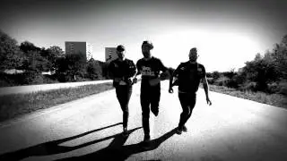 Dobermann Cult - 