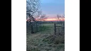 10 acres FM 166, Caldwell, TX, 77836 Tour - $139,900