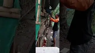 Kegiatan sore hari, sepulang kerja, pastikan perut penghuni halaman belakang terisi dan sehat 