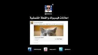 اعلانات فيسبوك والقطة المشمشية - facebook ads VS click farms