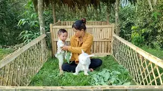 Single Mom Builds Rabbit Shelter,How to Build a Rabbit Shelter.