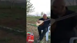 ARAFA AKYOL & POSTACI