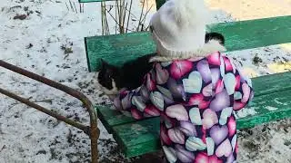 Кот