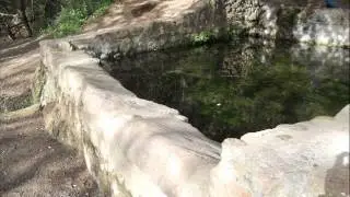 Torrent de Colobrers, Togores, La Salut