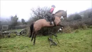My EquiCoach