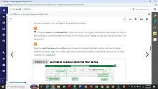 New Perspectives Excel 365\202 Module 6 Textbook Project | NP_EX_6_Filters | NP_EX_6-2 | NP_EX_6-1