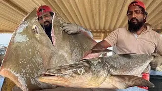 Brutal! Monster Fish Breakdown &mdash; Market Masters Mr.Sampath at Work 