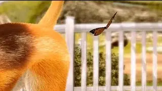 SNIFF MY BUTT!