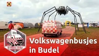 Tientallen Volkswagenbusjes in Budel