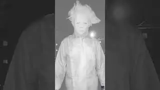 Spooky family 'prank' sparks police investigation